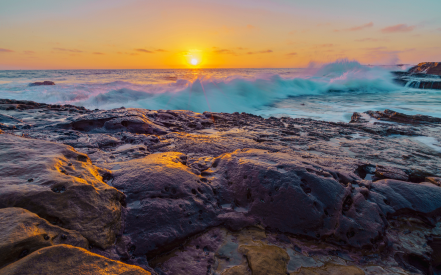All The Amazing Work Surfrider Foundation Has Done This Year (So Far)