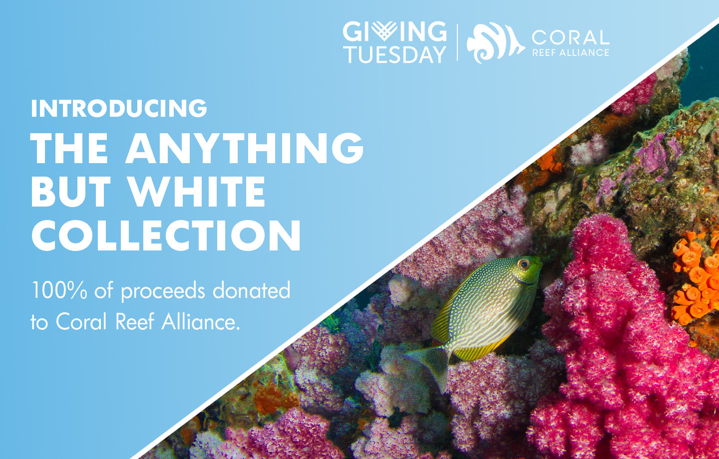 Giving Tuesday at Fresh Clean Threads | Proceeds go to support the Coral Reef Alliance