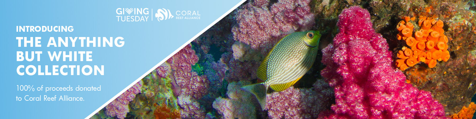 Giving Tuesday at Fresh Clean Threads | Proceeds go to support the Coral Reef Alliance