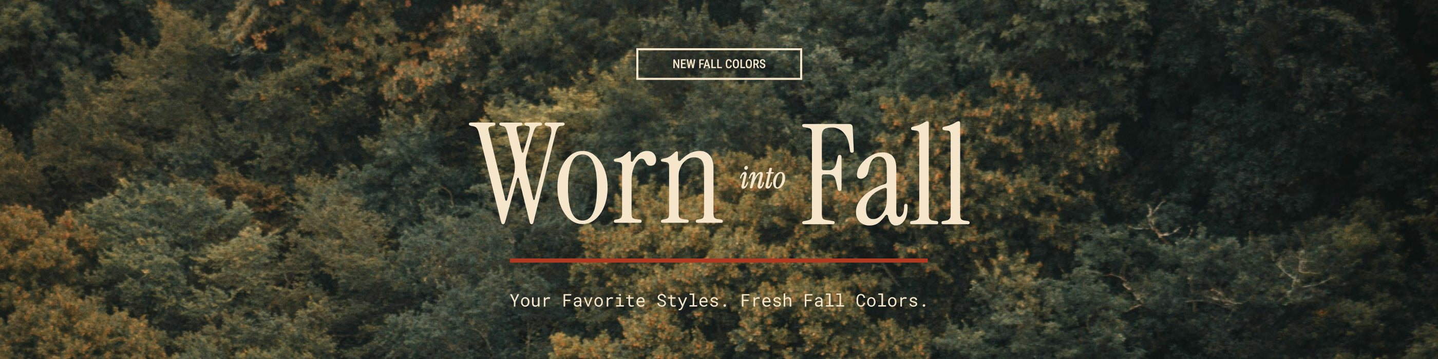 Shop the Fall Collection | New Colors for Fall at FCT