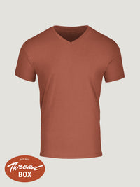 Seasonal Colors V-Neck
