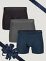 Boxer Brief Staples Holiday Pack 