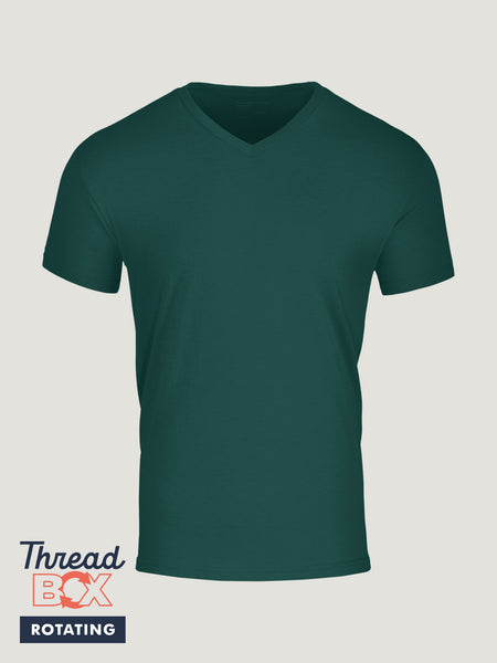 Seasonal Colors V-Neck