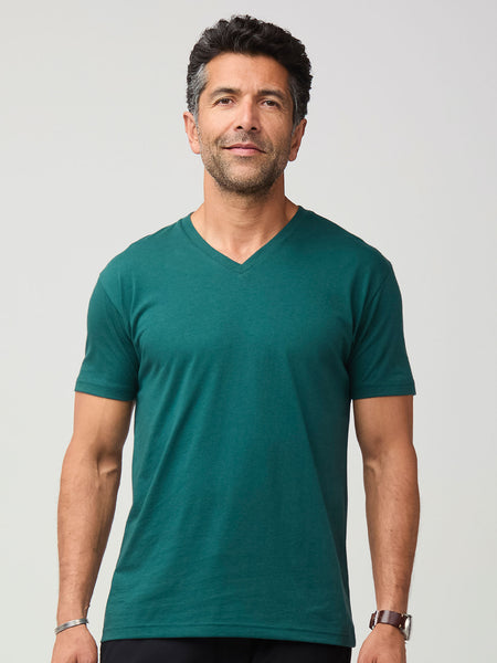 Seasonal Colors V-Neck