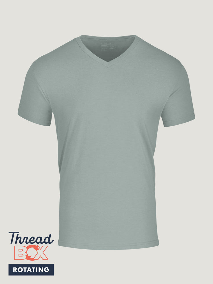 Seasonal Colors V-Neck